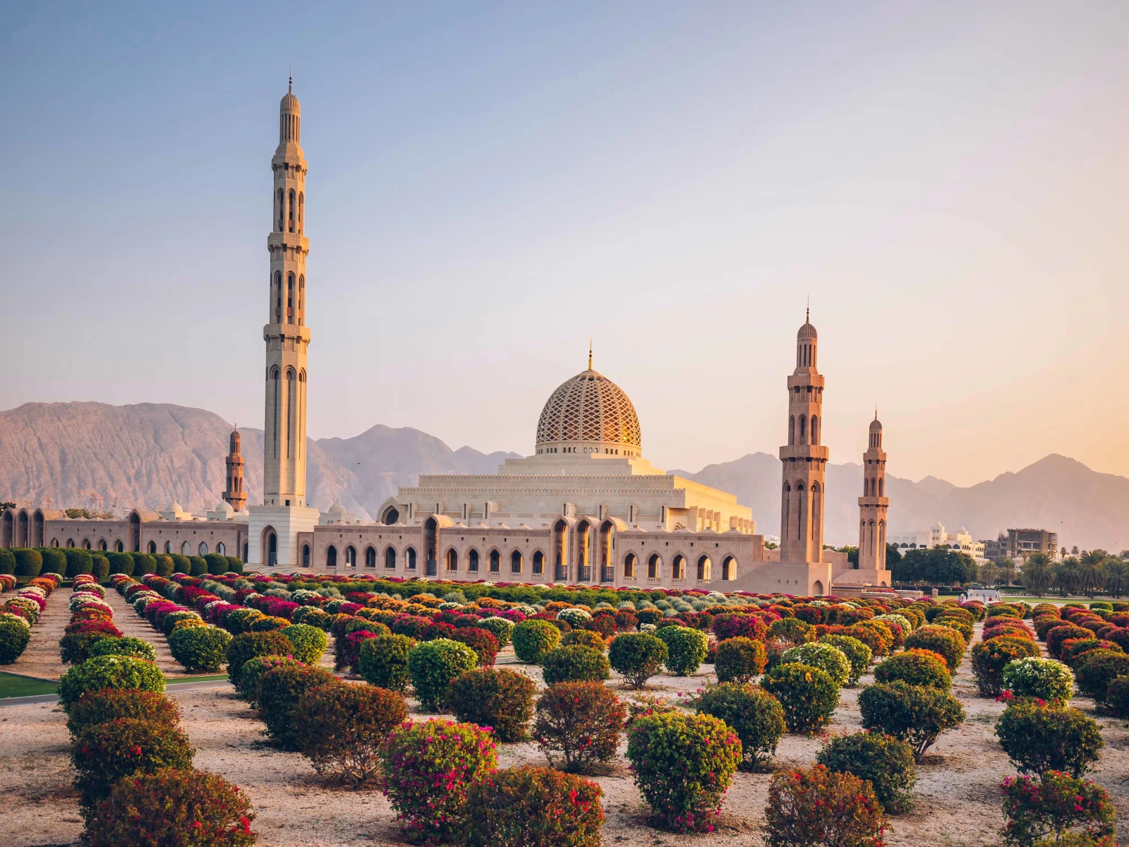 Muscat Oman cityscape with mountains and coast — expat guide to living in Muscat