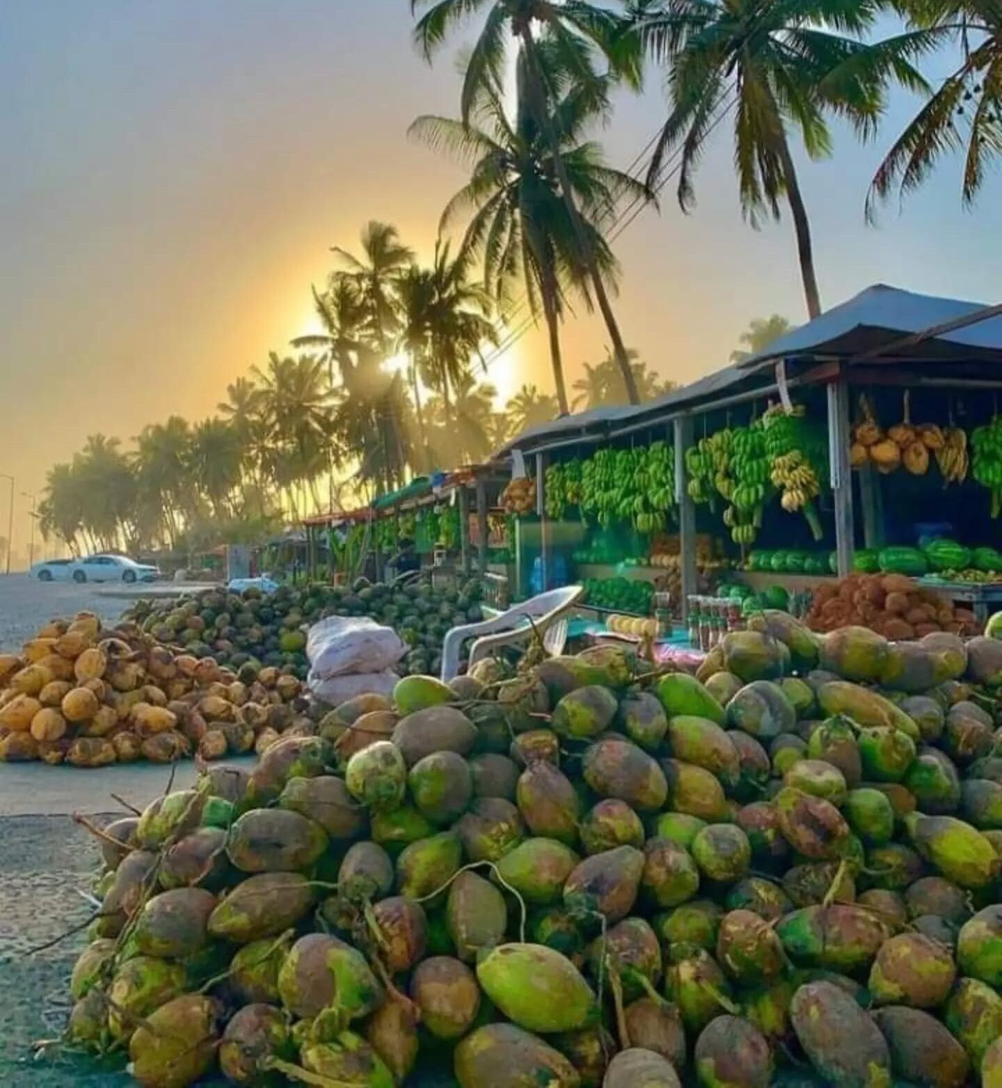 Budget mathbi stall Salalah Khareef